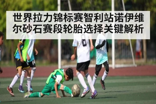 世界拉力锦标赛智利站诺伊维尔砂石赛段轮胎选择关键解析 | WilliamHill.com