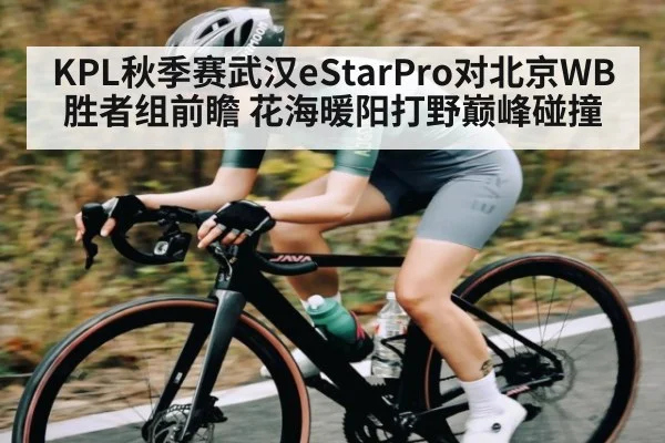 KPL秋季赛武汉eStarPro对北京WB胜者组前瞻 花海暖阳打野巅峰碰撞（WilliamHill.com）